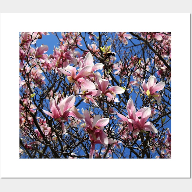 Magnolia Wall Art by JenPerry